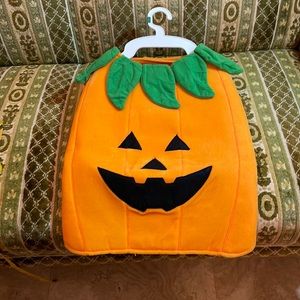 Small dog costume